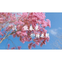 疫散終有時(shí)，春暖花自開(kāi)-科明致敬每一個(gè)認(rèn)真防疫的東莞人